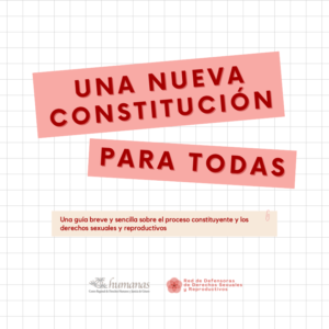 Lee más sobre el artículo Cuadernillo: Una nueva Constitución para todas
