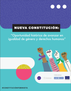 Lee más sobre el artículo Nueva Constitución: «Oportunidad histórica de avanzar en igualdad de género y derechos humanos»