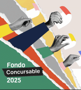 Lee más sobre el artículo Seguimos juntas fortaleciendo la democracia y los derechos humanos de las mujeres Fondo “Iniciativas para la Democracia y los Derechos Humanos de las Mujeres”